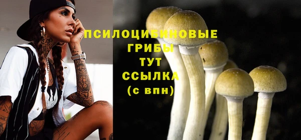 мяу мяу кристалл Инсар
