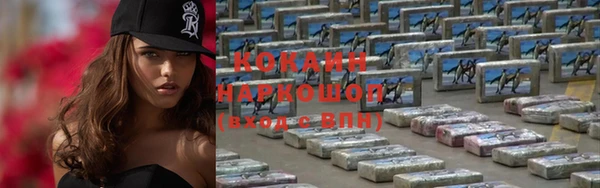стаф Касимов