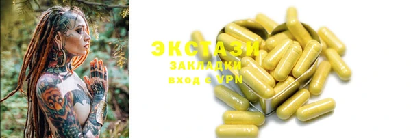 стаф Касимов