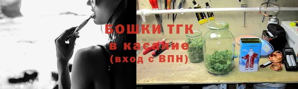 прущие грибы Карталы